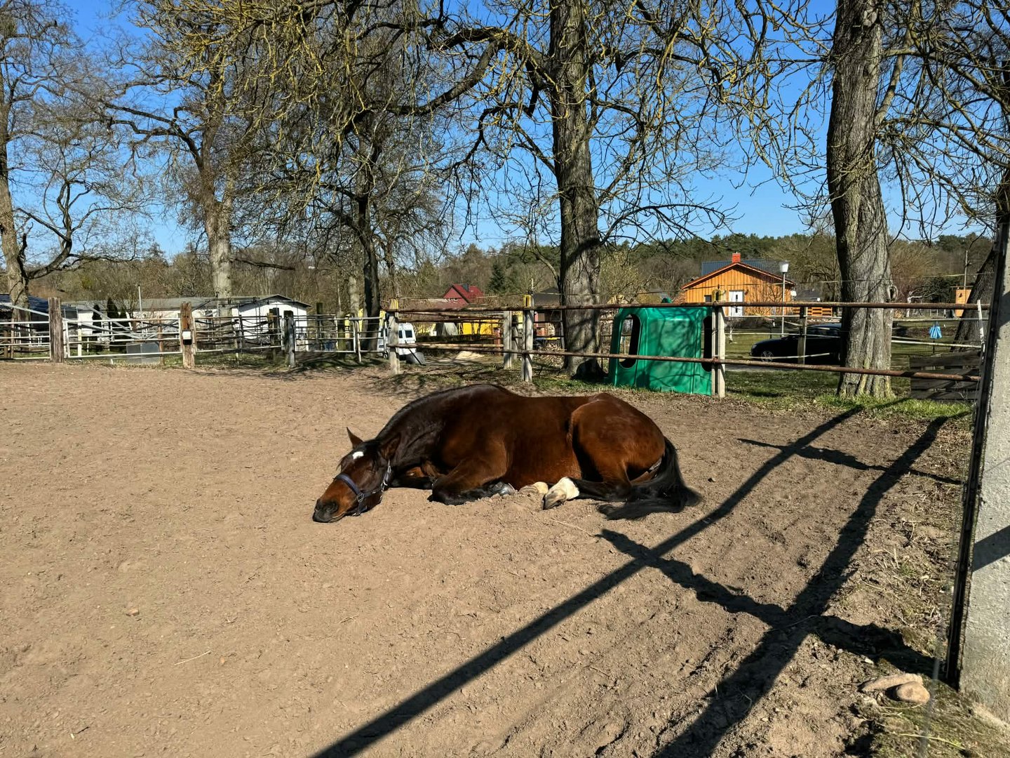 Stajnia w Schönow
