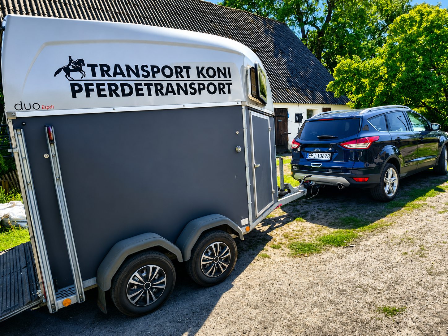 Transport koni