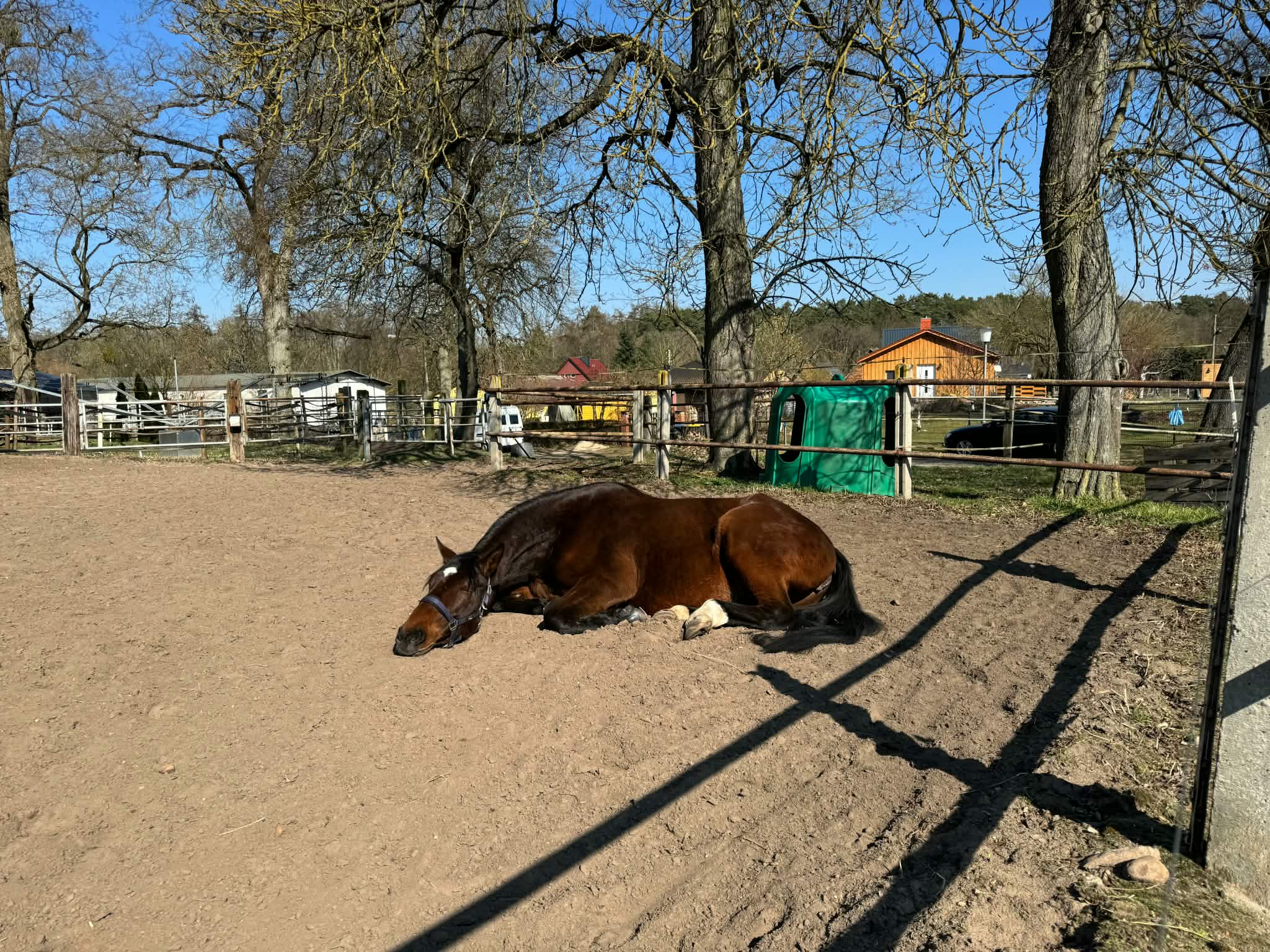 Teren stajni